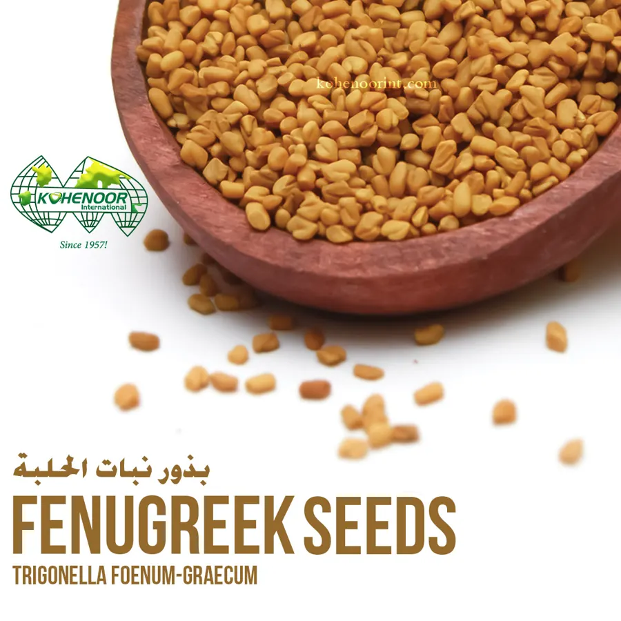 Bold fenugreek seed, yellow-brown, machine cleaned