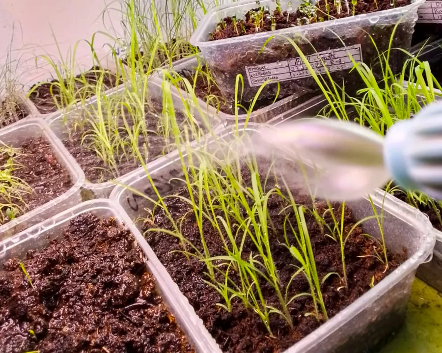 How to read an ISTA seed analysis report