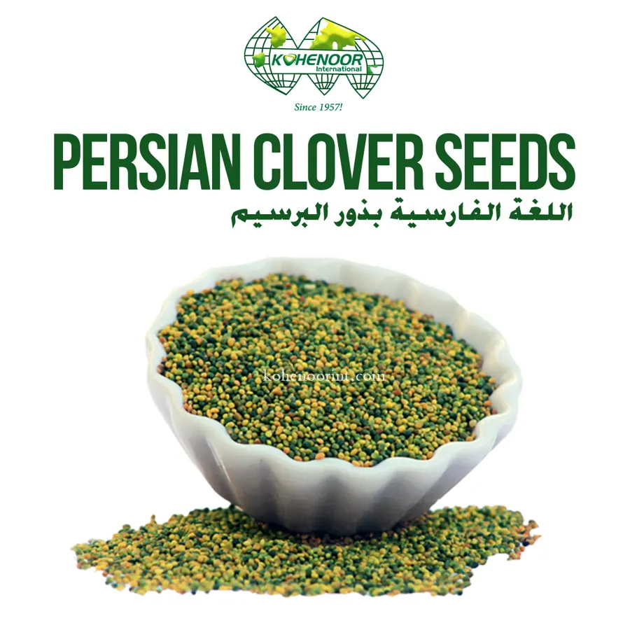 Berseem clover seed, small, yellow-brown, machine cleaned